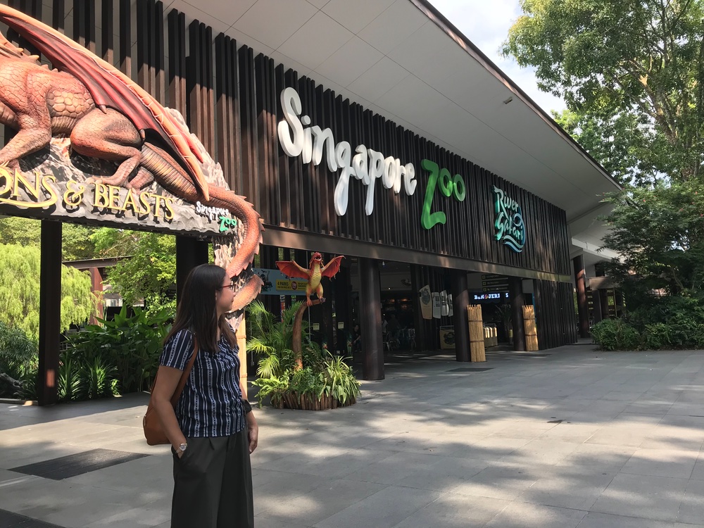 Things to do in Singapore